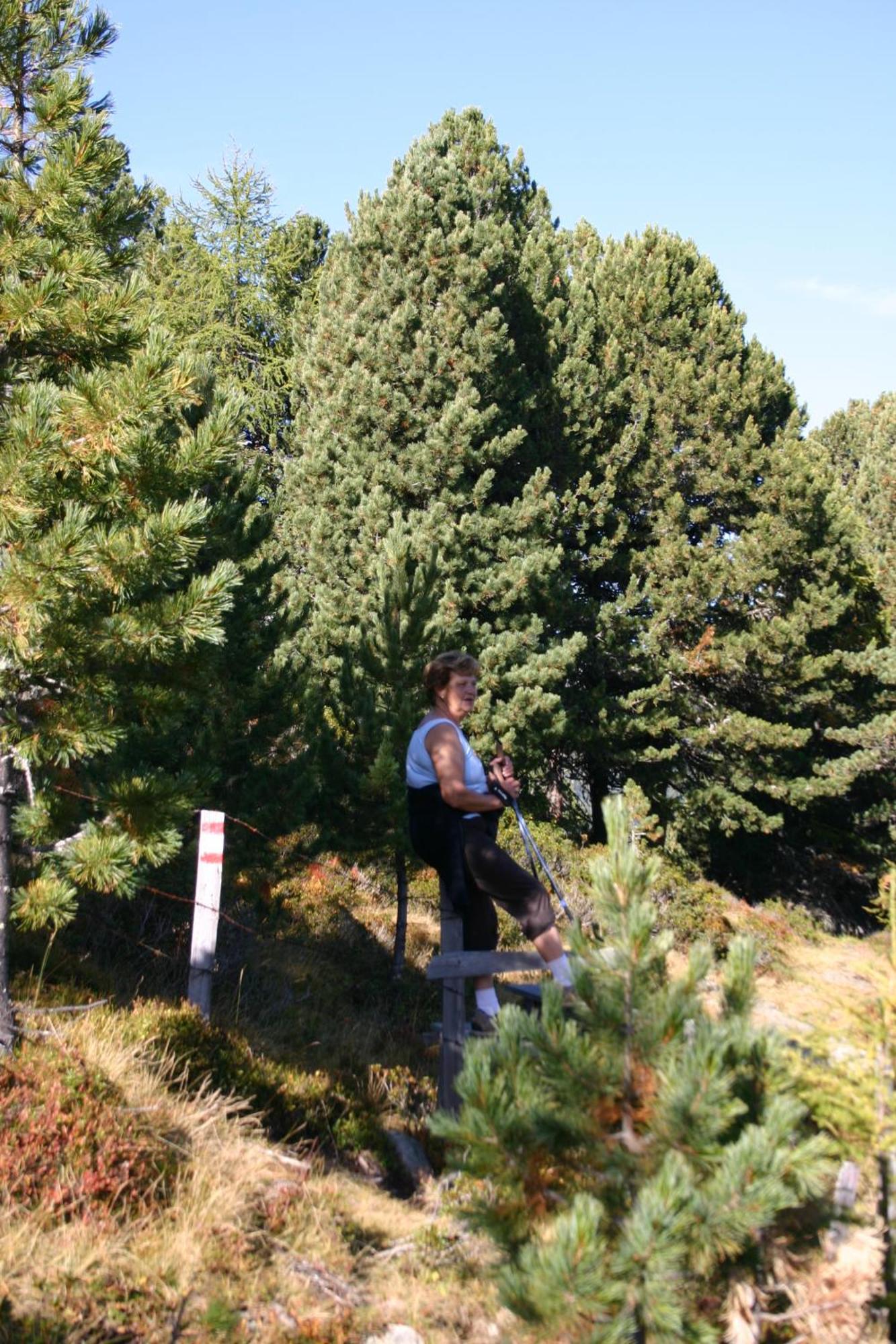 Schi- Und Wanderhotel Berghof Bad Kleinkirchheim Bagian luar foto