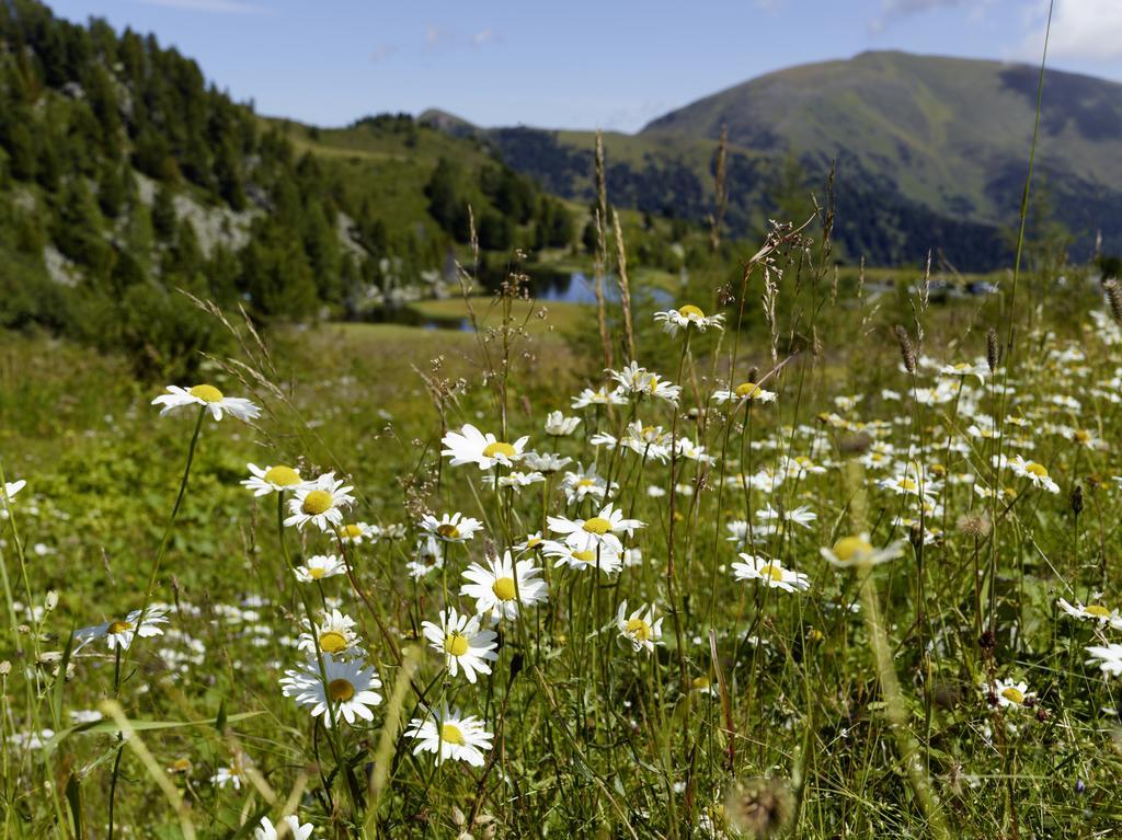 Schi- Und Wanderhotel Berghof Bad Kleinkirchheim Bagian luar foto